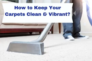 Read more about the article How to Keep Your Carpets Clean & Vibrant?
