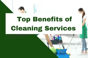 Read more about the article What are the benefits of cleaning services?
